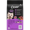 thumbnail image 3 of Cesar Filet Mignon Flavor with Vegetable Garnish Small Breed Dry Dog Food, 2.7 lb bag, 3 of 11