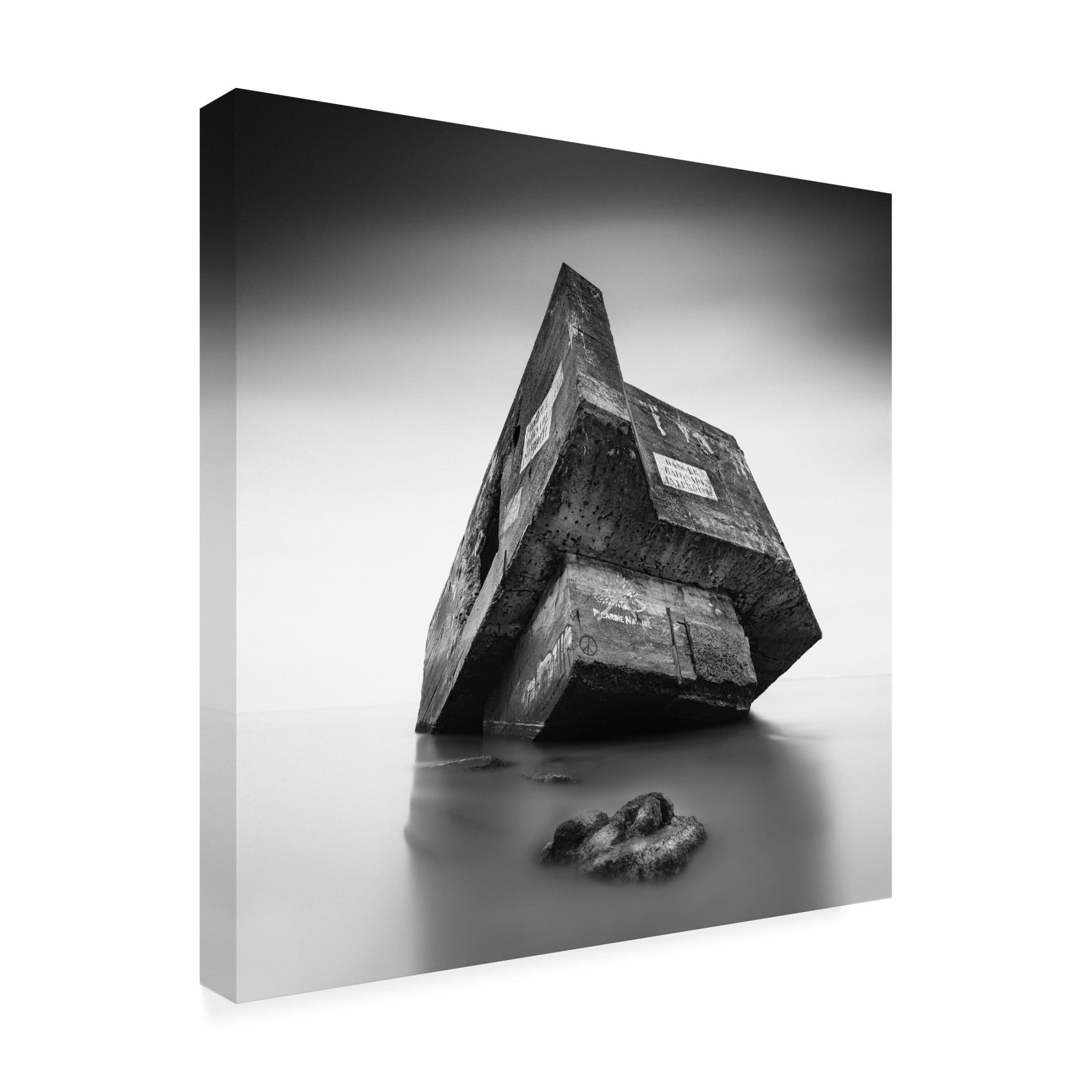 Canvas Wall Art - Christophe Staelens 'In My Shadow' Wall Art for Living Room, Bedroom, or Office Décor by Trademark Fine Art - 14 x 14 Inches