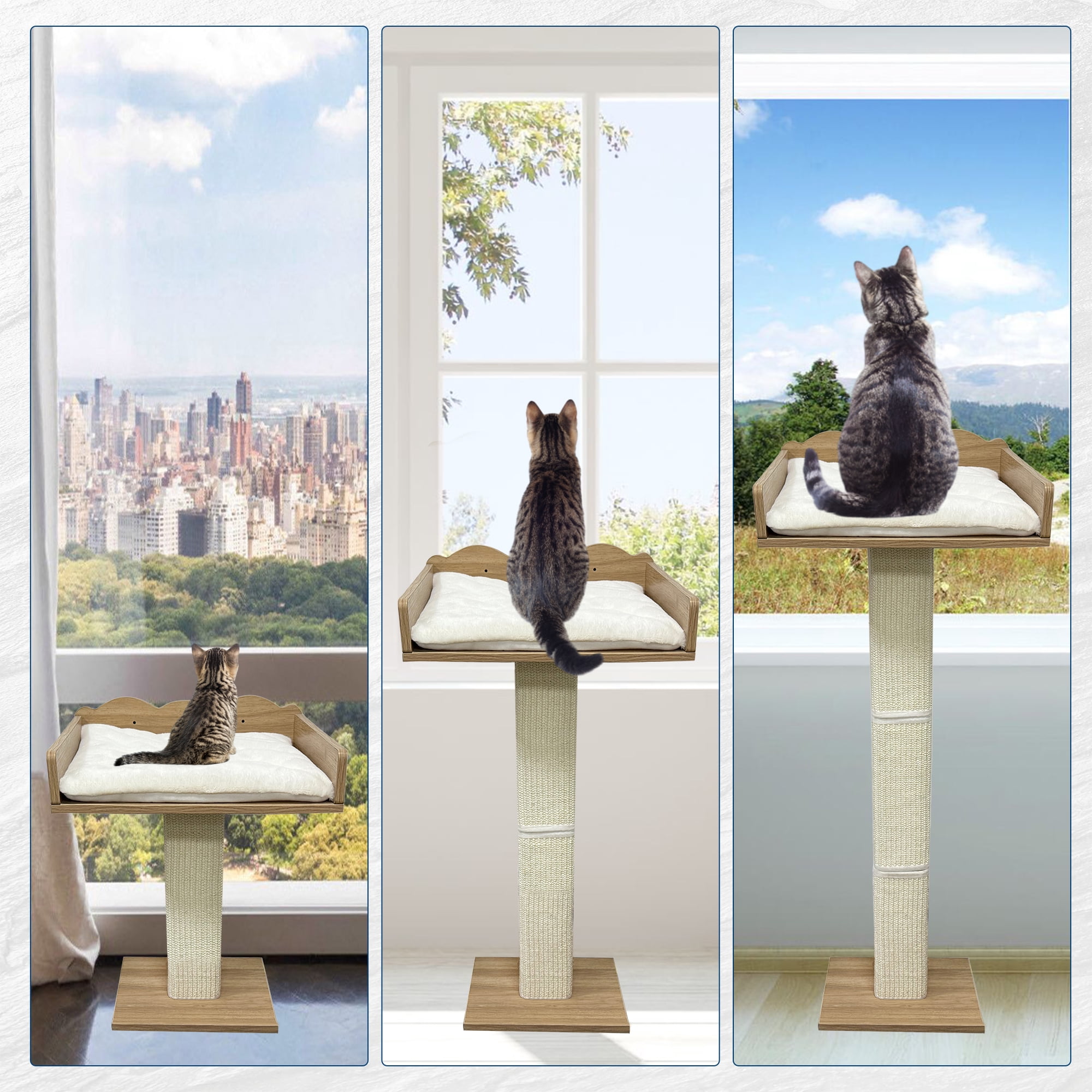 Amkui 40" Tall Cat Window Perch with Scratching Posts & 2 Platforms,Cat Kitten Sisal Climbing Tree with Suction Cups,Window Cats Bed with Removable Cushion