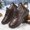 Brown, variant on Men's Winter Cotton Boots With Thickened Fleece For Warmth And Slip Casual Shoes