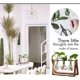 thumbnail image 4 of Planta con soporte de madera, lámpara de aire, jarrón de vidrio, soporte giratorio de metal, mesa retro compatible con la hidropónica, decoración de oficina, jardín de hogar, 3 Afortunado Sencillez, 4 of 5