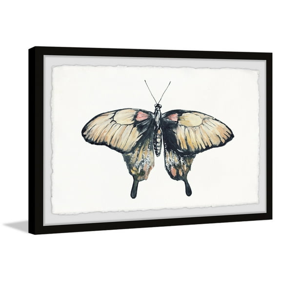 Marmont Hill Cream Colored Wings Framed Painting Print-Size:12x8