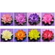 thumbnail image 2 of (Blanco) 18cm estanque pecera decoración simulación loto lirio de agua loto falso, 2 of 5