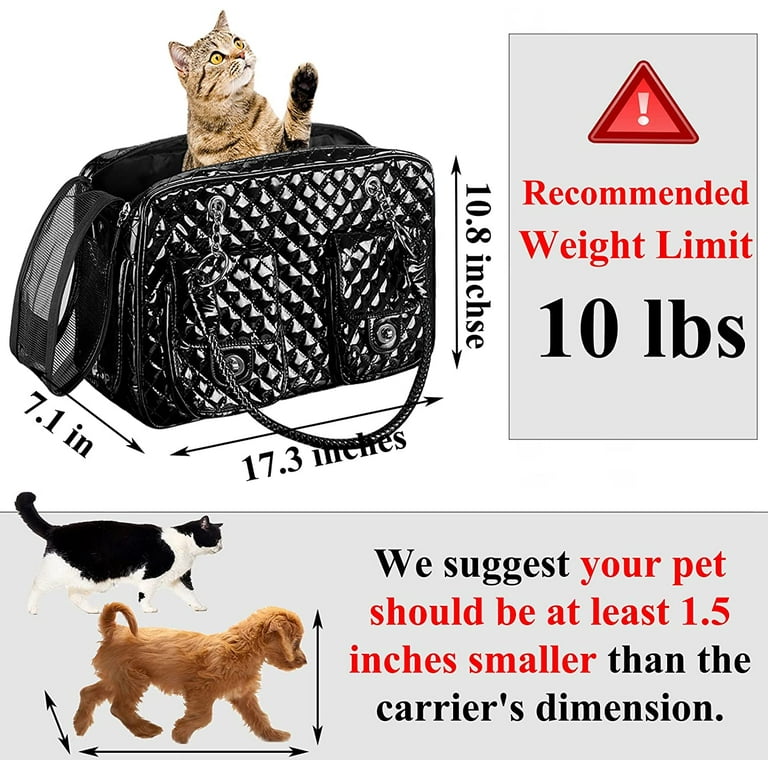 Pnimaund Cat Carrier Large Pet Carrier Soft Dog Carrier with Lockable  Zippers [2023New] Cat Carriers for Medium Large Cats Under 25 Lbs  Collapsible Pet Travel Carrier-Blue 