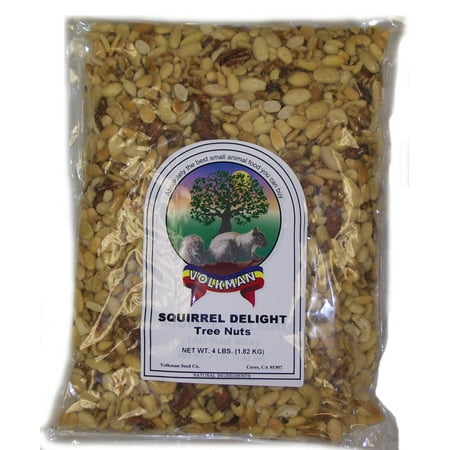 Small Squirrel - Volkman Seed Small Animal Squirrel Delight All Nut Mix Healthy Diet Food 4lbs
