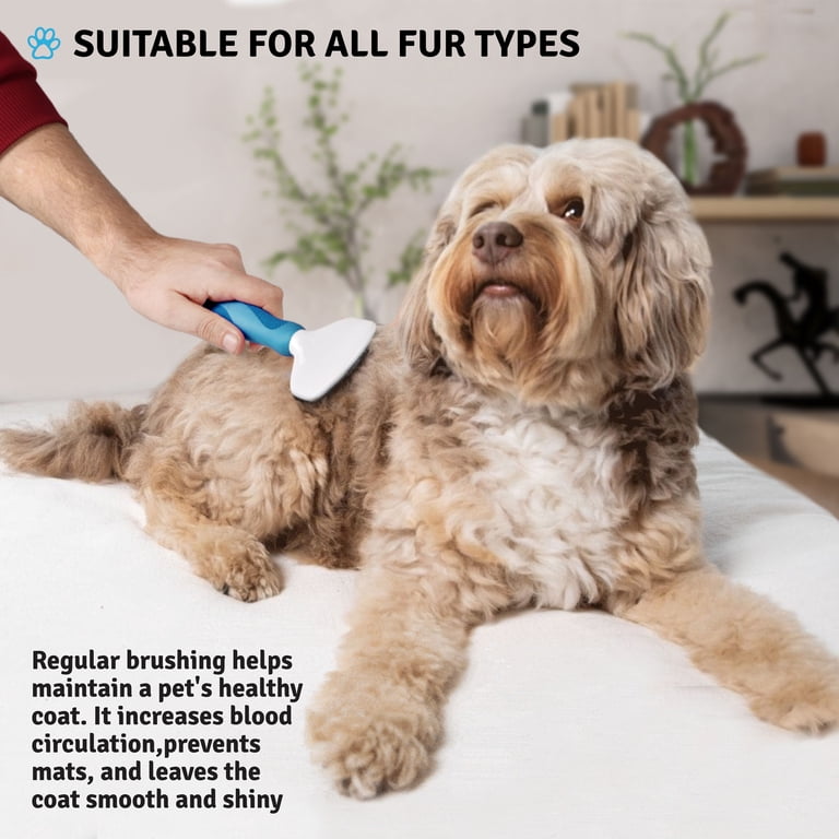 Poodle Pet Slicker Brush for Dogs & Cats, Blue photo 6