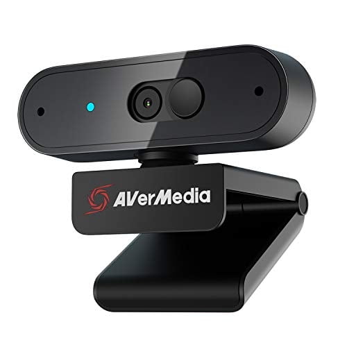 Camara web AVerMedia PW310P Camara HD completa 1080p 30f