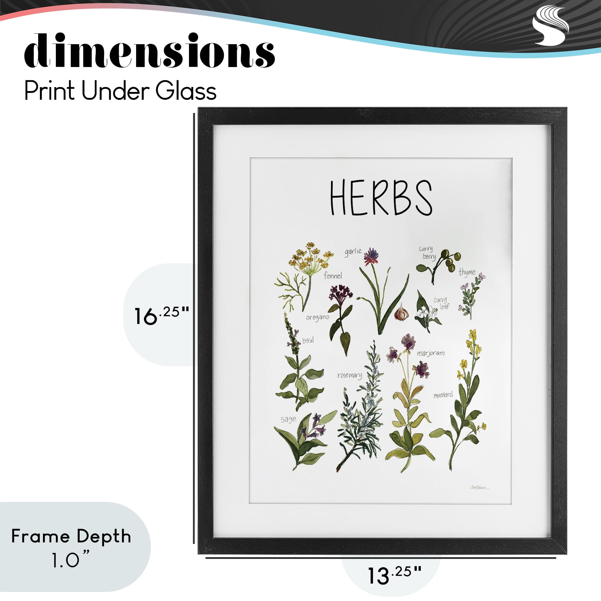 Stupell Industries Herbs Identification Chart Black Framed Print Under Glass, design by Carol Robinson