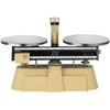 Walter Products Economy Double Pan Balance with Weight Set