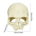 thumbnail image 3 of Resin Reptile Hideout for Tank Realistic Skull Decor for Terrarium Decorative Skeleton Head Hides and Caves for Fish Ball Python Axolotl Tarantula Beige#, 3 of 6