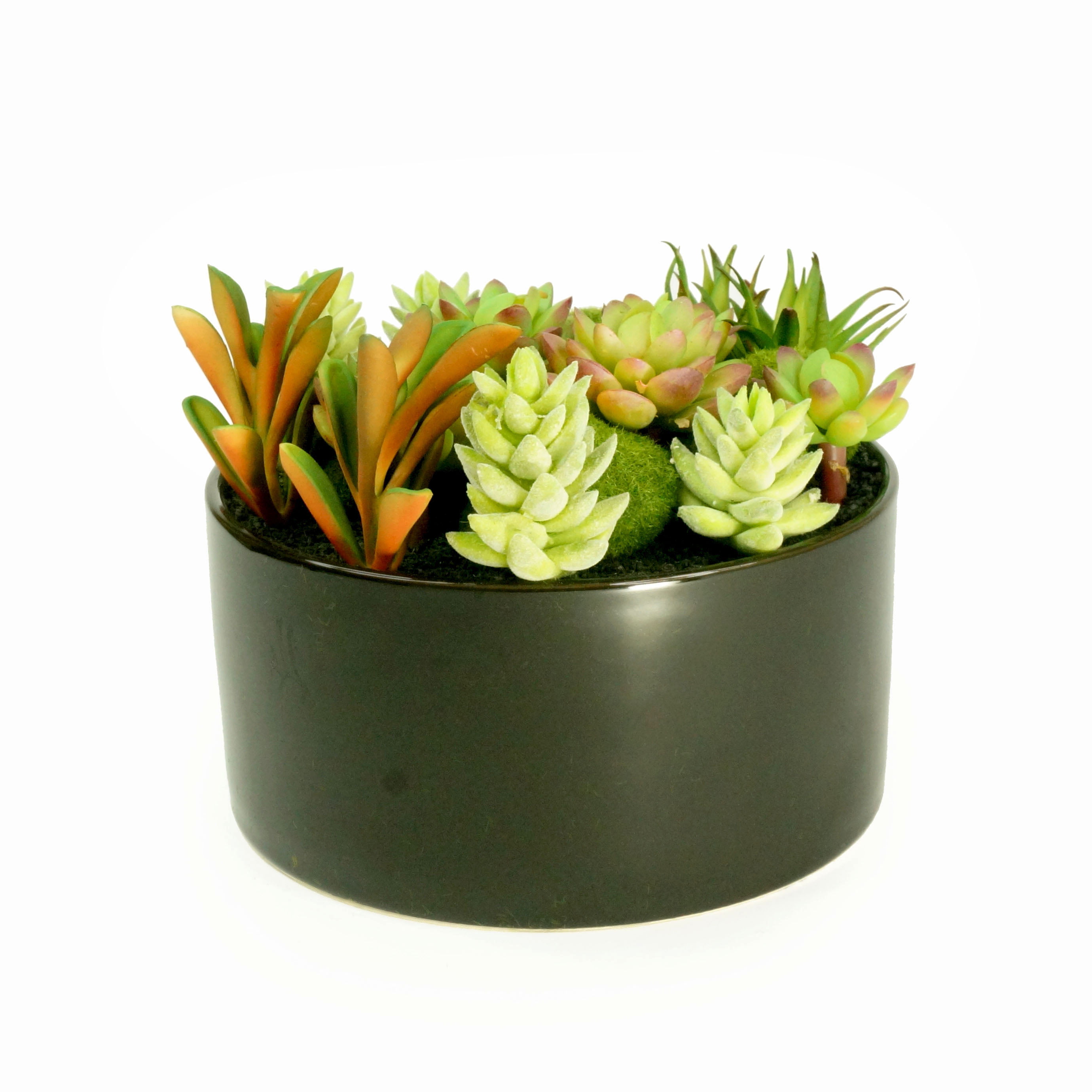 Solid Color Plastic Flower Pot Succulents Plant Bonsai Decor Planter Container 