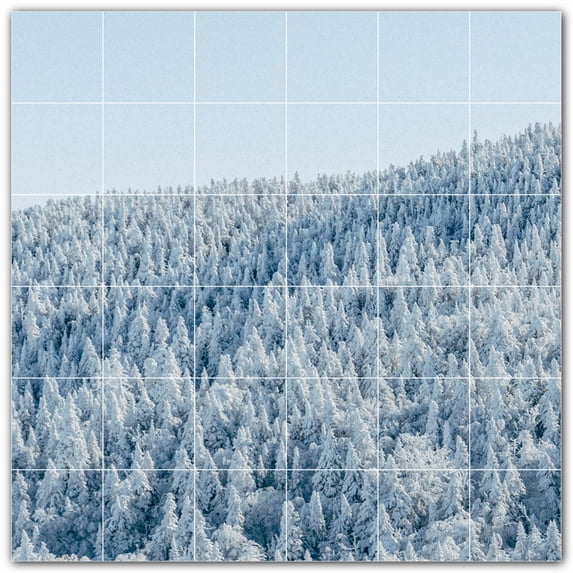 Picture-Tiles.com: Winter Ceramic Tile Wall Mural WAL501224-66L. 48"W x 48"H using (36) 8" x 8" Ceramic Tiles-Satin Finish