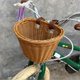 thumbnail image 4 of Bicycle Basket Streamers Set Adjustable Front Handlebar Bike Basket with Colorful Bike Streamers,DIY Bike Decoration Accessories Kit, 4 of 4