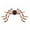 C, variant on putnchl 7in Jumbos Halloween Light Up Spider Scary Giant Spider For Indoor Outdoor Halloween Spider Decorations Party Favors Yard Home House Décor Multicolor