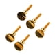 thumbnail image 4 of Tornillo para saxofón, 5 piezas Cuello de saxofón Tornillo receptor de cuello de saxofón Tornillo de saxofón Aspecto llamativo, 4 of 8
