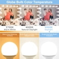 thumbnail image 3 of Bombillas LED tipo globo Hansang G25, 9 W, 5000 K, luz diurna, paquete de 4, 3 of 7
