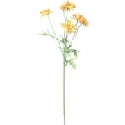 25" Daisy Stem, Tangerine