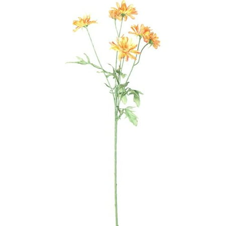 25" Daisy Stem, Tangerine