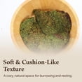 thumbnail image 4 of The Habitat Life - Natural Mood Moss - for Reptiles, Amphibians & Invertebrates Terrariums - Moisture-Retaining - Humidity Control - Soft Bedding - Dye-Free & Safe - Medium - 2 Pack, 4 of 6