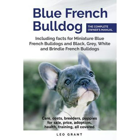 Blue French Bulldog : Care, Costs, Price, Adoption, Health, Training and How to Find Breeders and Puppies for Sale. Includes Facts for Miniature, Black, Grey, White and Brindle French (Best French Bulldog Breeders)