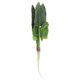 thumbnail image 1 of unbranded Espinaca Simulada Para De Ambiente Con Apariencia Natural Y Fácil Mantenimiento, 1 of 8