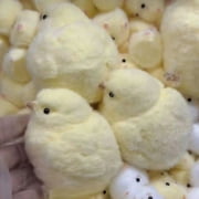 Handmade Chick Taba Squishy Toys, Ultra Soft Fidget Toys, Big Silicone Squeeze Toys for Stress Relief