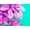 Bali Floral, variant on Swimsuits for All Women's Cut Out Longline Bikini Top
