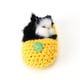 thumbnail image 3 of Gato Durmiente En Zapatilla Muñeca Mini Gatito En Zapato Con Sonidos De Meows (Amarillo), 3 of 9