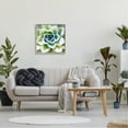 thumbnail image 2 of Stupell Green Succulent Nature Close Up Botanical & Floral Photography Gray Framed Art Print Wall Art, 2 of 7