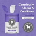 thumbnail image 4 of PetWipes Petkin 200 toallitas a base de plantas para perros y gatos, 4 of 7