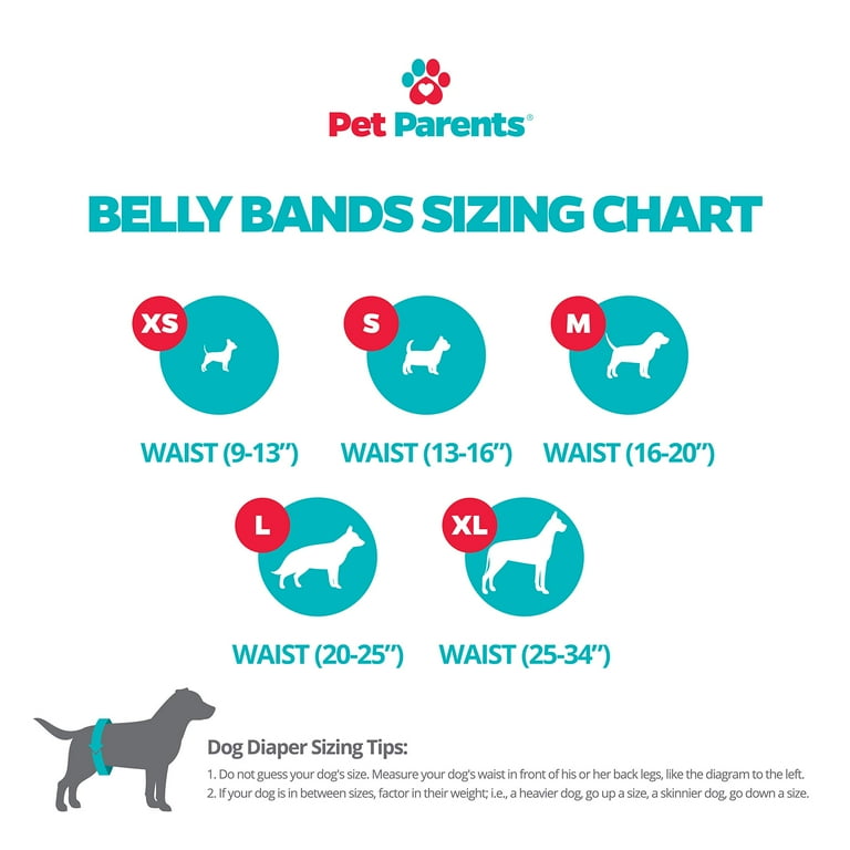Pet parents top belly bands