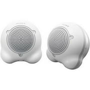 Portable Passive Speaker System