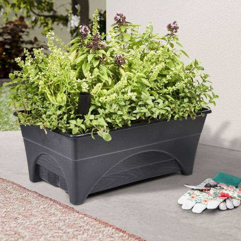 Expert Gardener Self-Watering Garden Bed, 2.5-Gallon photo 3