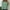 Green, variant on Tops for Women Clearance Long Sleeve Round Neck Casual Loose T-Shirt Green M