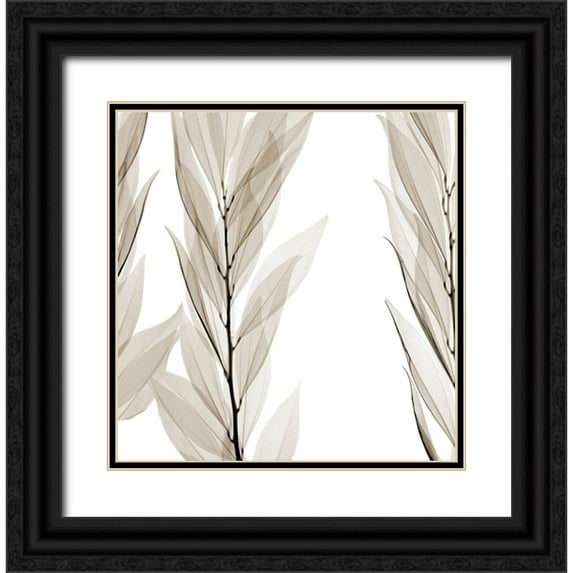 Sommers, Mindy 15x15 Black Ornate Wood Framed with Double Matting Museum Art Print Titled - Natural Emotions