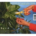thumbnail image 2 of Bush (CD), 2 of 2
