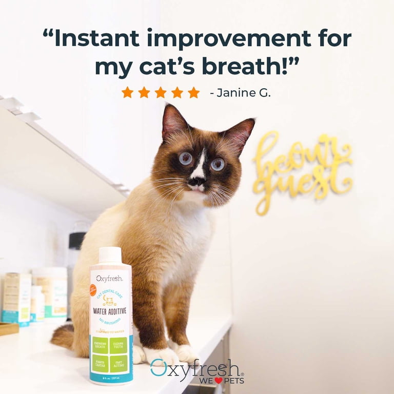 Oxyfresh Premium Pet Dental Care Solution Pet Water Additive: Best Way