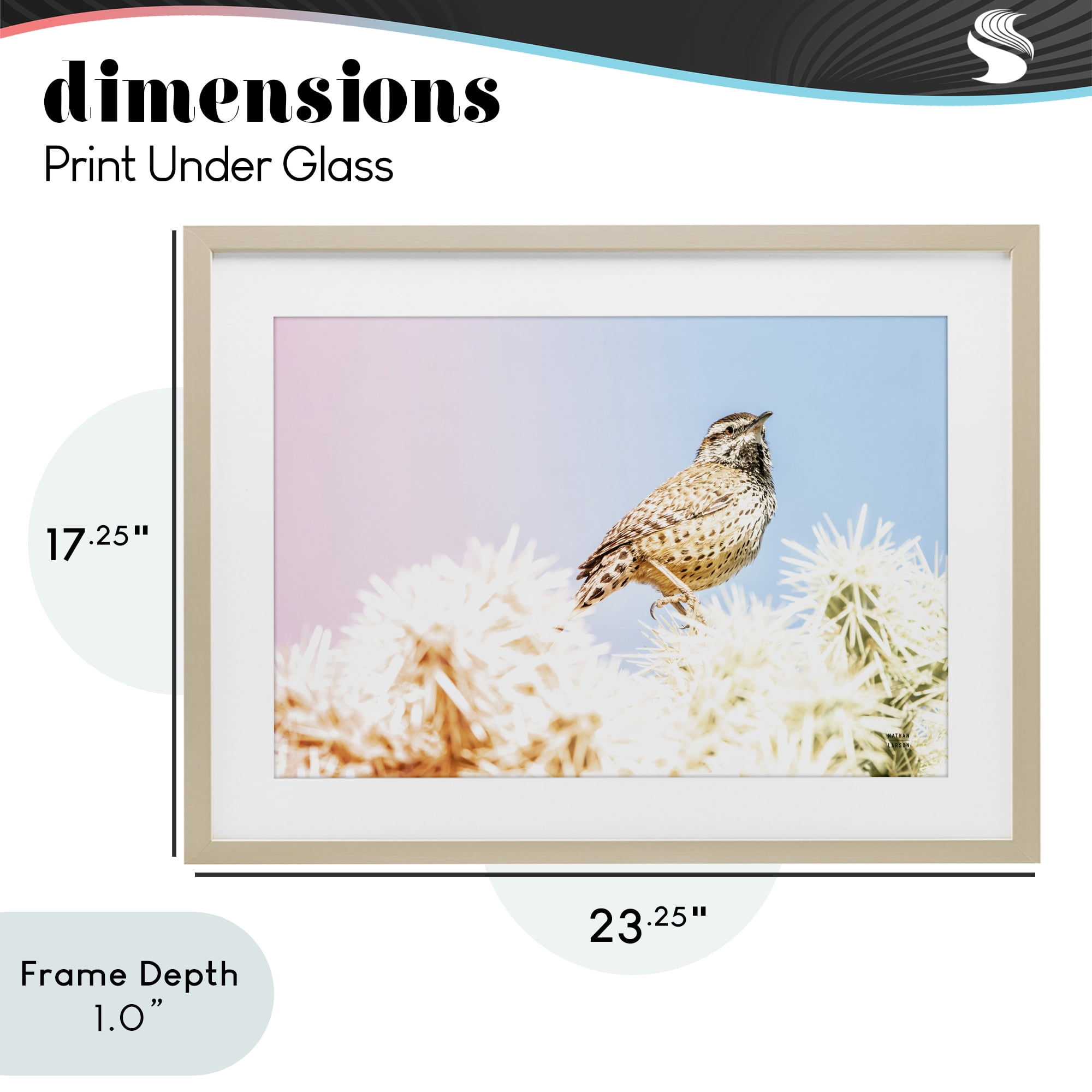 Stupell Industries Desert Song Bird Birch Framed Print Under Glass, design by Nathan Larson