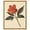 Gold Frame, variant on Red Petal Reverie II Canvas Vintage Botanicals by Art Remedy, Gallery Wrapped, 16" x 20"