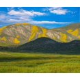 thumbnail image 2 of Fitzharris, Tim 17x15 Gold Ornate Wood Framed with Double Matting Museum Art Print Titled - Wildflower Bloom, 2 of 4
