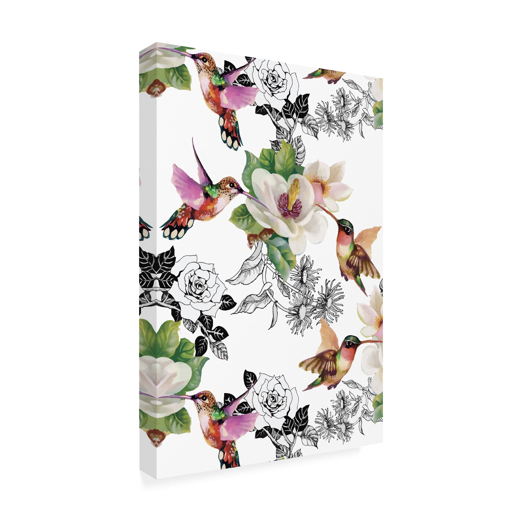 Trademark Fine Art 'Colibris' Canvas Art by Incado