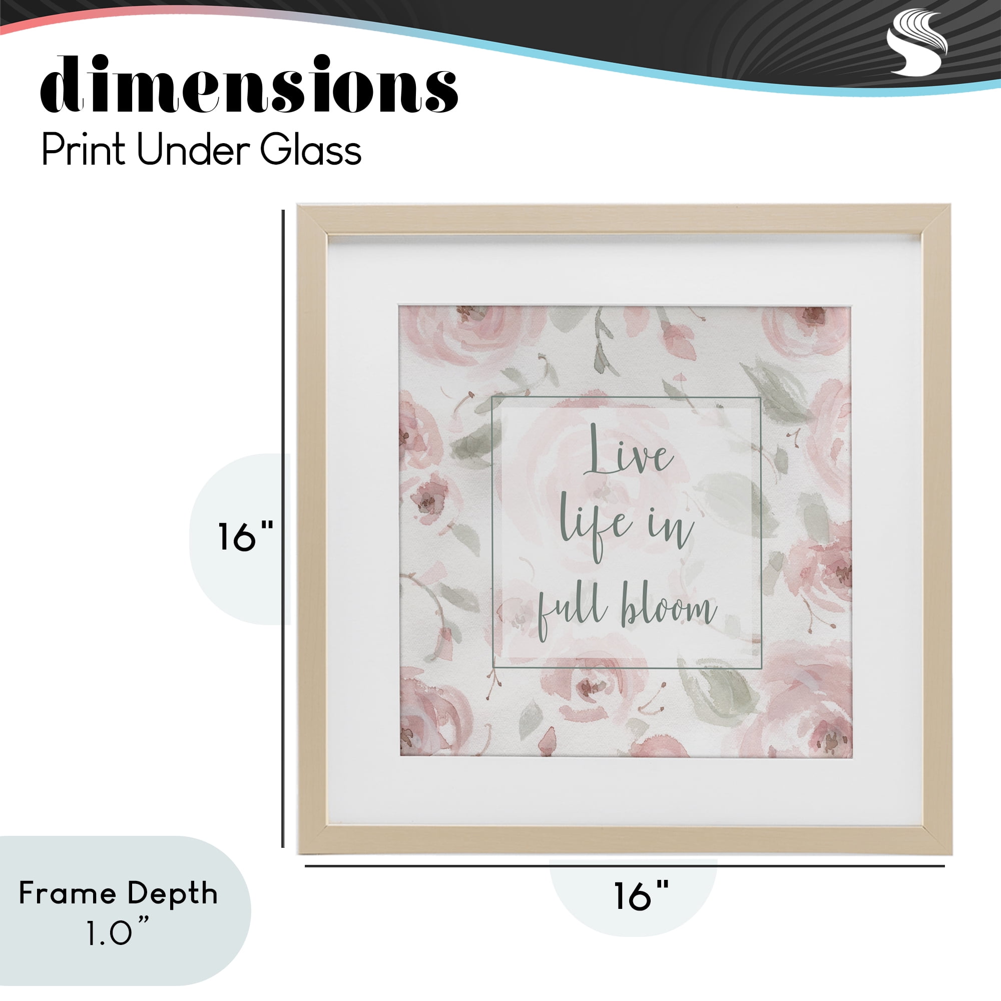 Stupell Industries Live Full Bloom Florals Birch Framed Print Under Glass, design by Carol Robinson