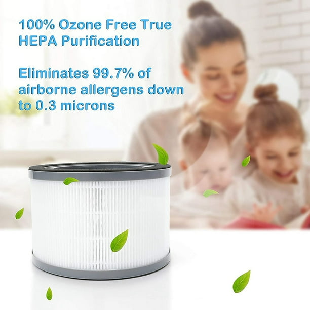 Activated carbon 2024 air filter walmart