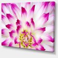 thumbnail image 2 of Smooth White Rose Floral Petals - Floral Canvas Art Print, 2 of 3