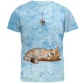 thumbnail image 1 of Simple Things Kitty Cat Playtoy Full Mens T Shirt Crackle Light BLue 2XL, 1 of 1