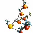 thumbnail image 1 of Abbraccia Flor artificial con frutos, rama decorativa, arreglo de Año Nuevo chino para el hogar, 1 of 6