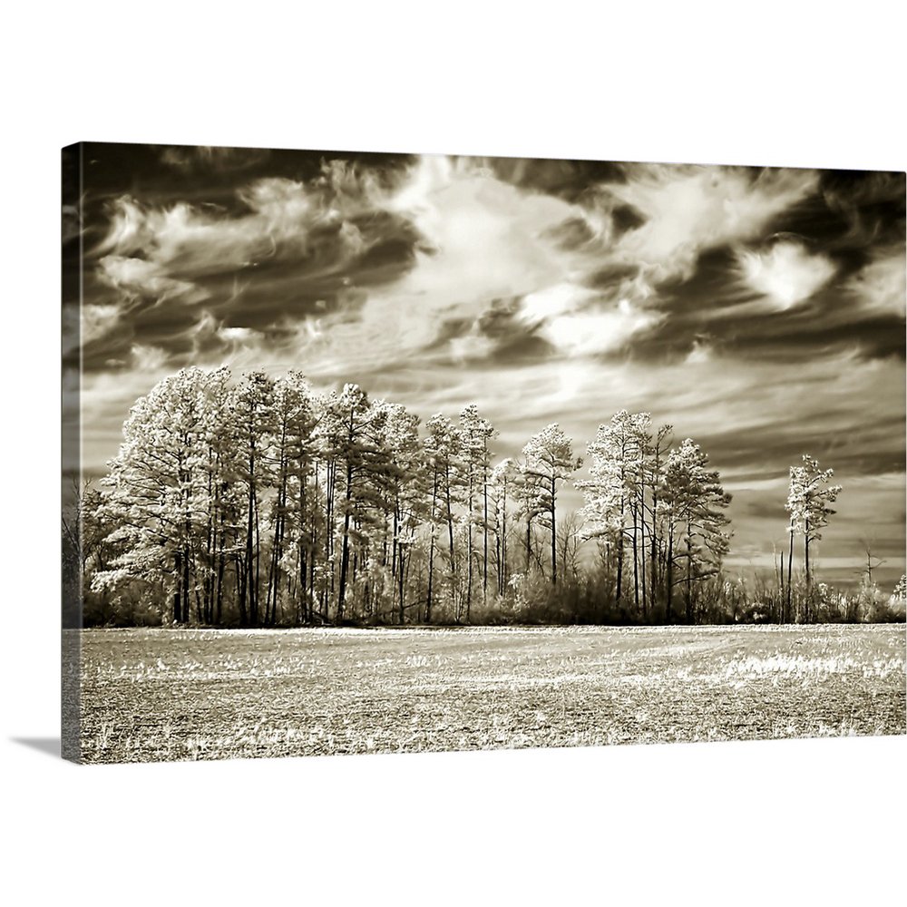 Great BIG Canvas "Fallow Field" Canvas Wall Art 24x16