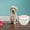 As the picture shows, variant on Musatteng Large Capacity Pet Food Storage Container For Dog Food And Cat Airtight Food Sealing Bucket Holds Of Pet Food 1pc M Designs Storage Cookie Containers with Lids Airtight Storage with Closet