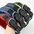 thumbnail image 5 of Applicable aux Grandes Variétés de Collier pour Chien Hybride à Rayures / Photos Haute Résolution Rouge Grand, 5 of 5