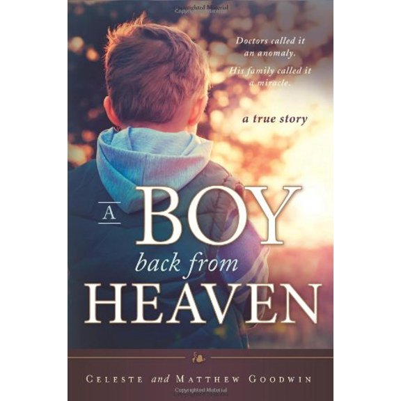 Pre-Owned A Boy Back from Heaven (Paperback) 1462113850 9781462113859